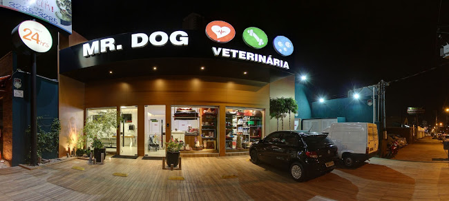 MR Dog Veterinária