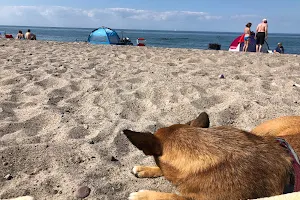 Strandbereich für Hunde image