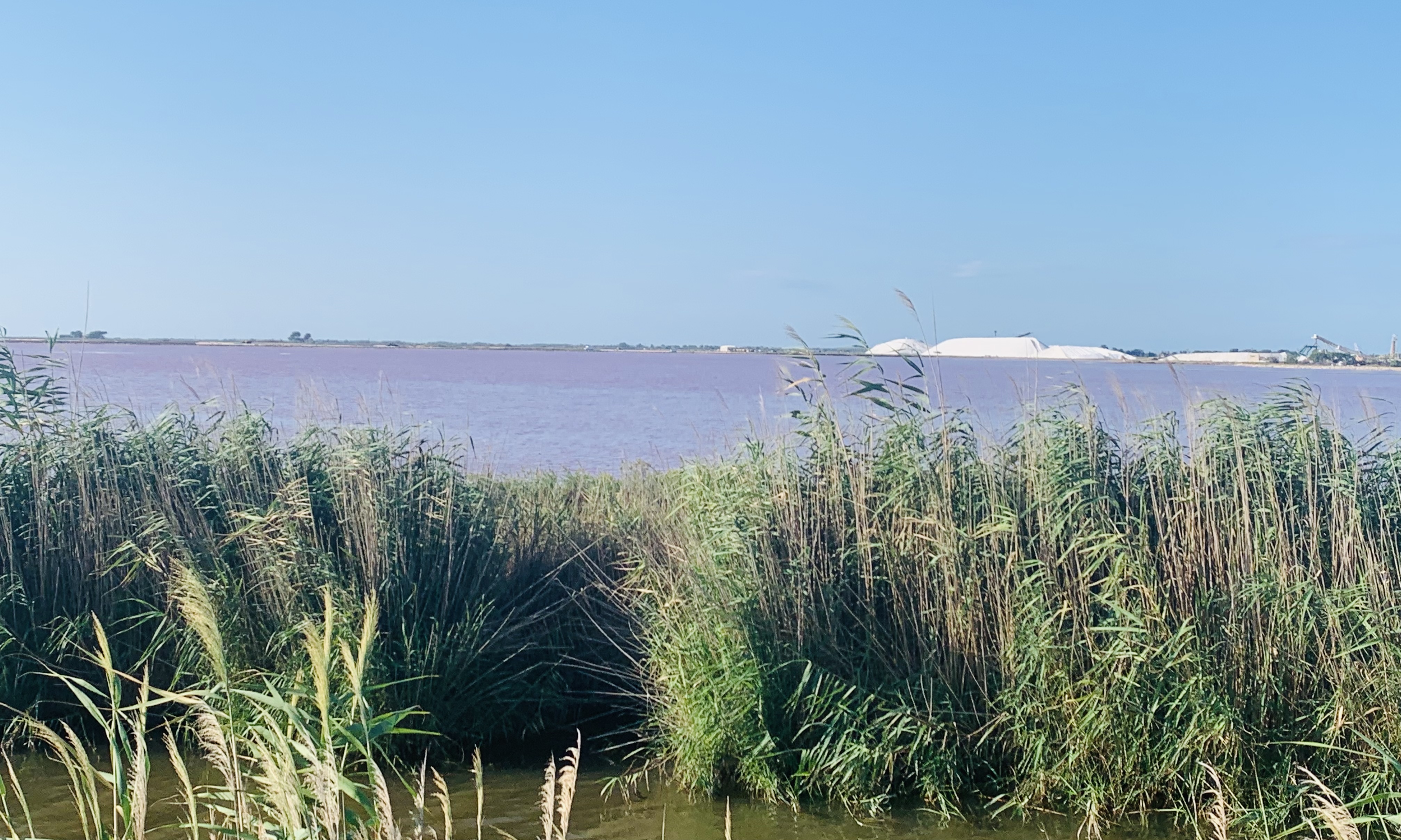 Photo n° 2 de l'avis de corine.a fait le 19/08/2022 à 21:56