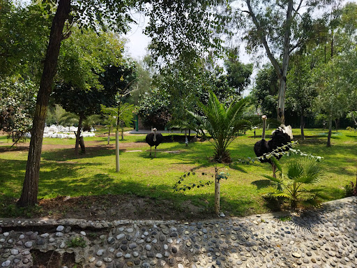 Jardín botánico Nezahualcóyotl