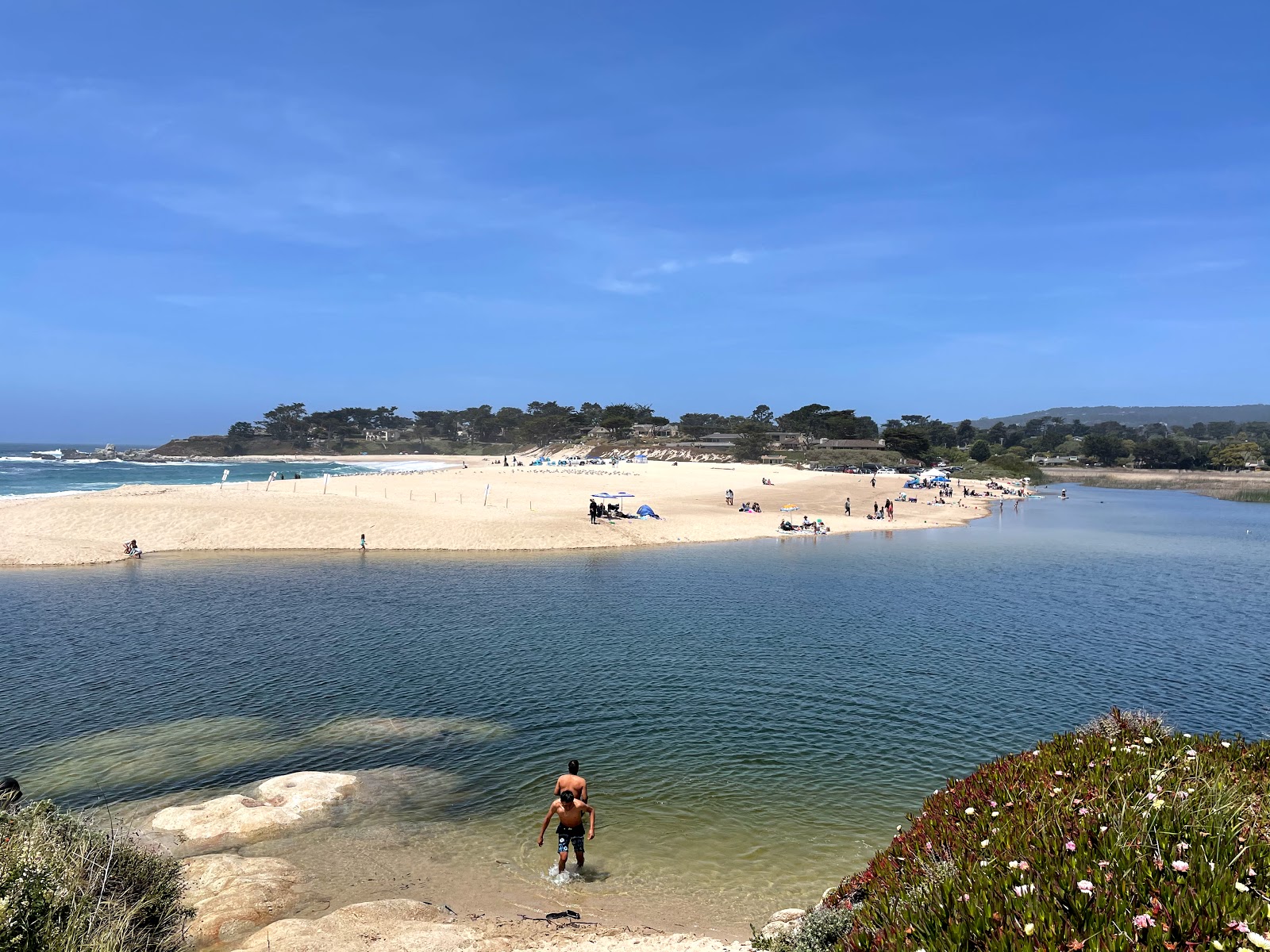 Carmel River Beach'in fotoğrafı geniş plaj ile birlikte