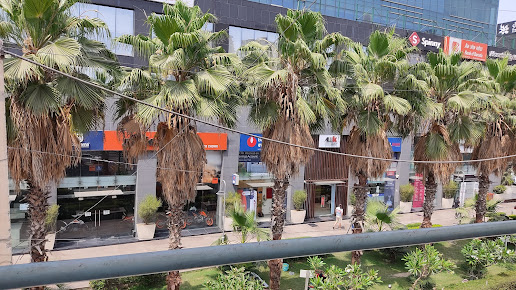 Google Maps image 14