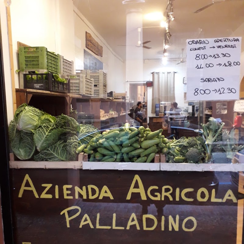 Azienda Agricola Palladino - La Butaiga dal Cuntaden
