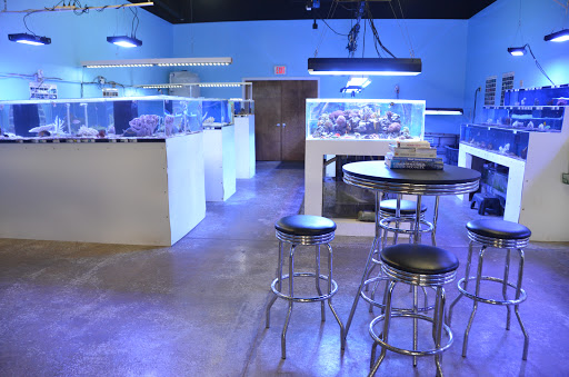 Aquarium «Aquatica», reviews and photos, 11481 Blankenbaker Access Dr #100, Louisville, KY 40299, USA