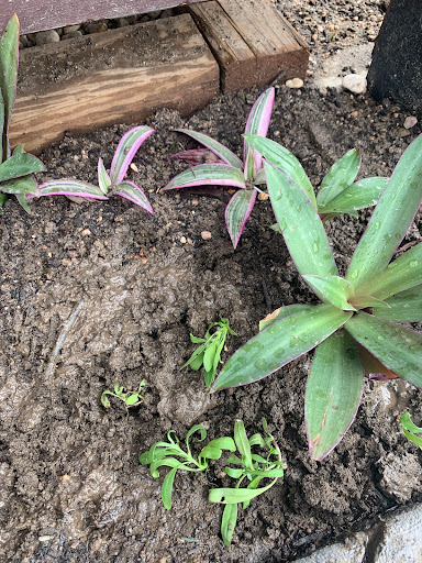 Landscaping Supply Store «Colorado Materials, Inc.», reviews and photos, 1541 Boston Ave, Longmont, CO 80501, USA