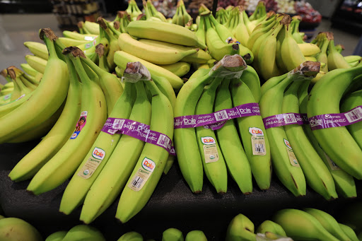 Grocery Store «Food Lion», reviews and photos, 9537 Bridgeville Center Rd, Bridgeville, DE 19933, USA