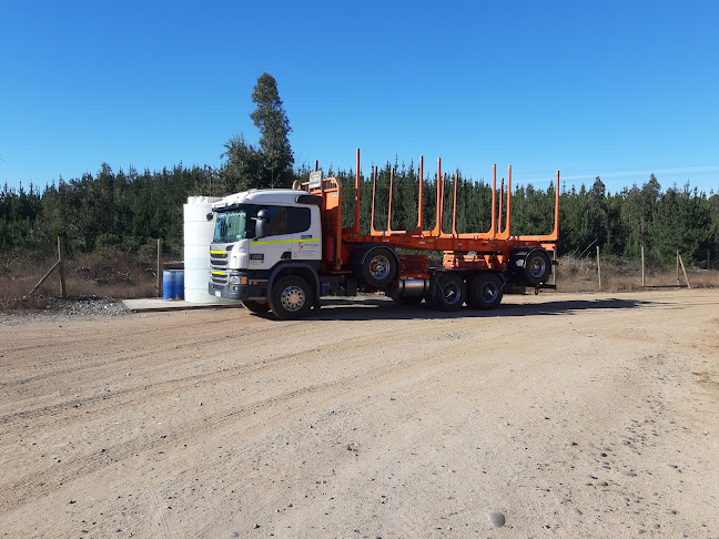 Transportes San Joaquín - Transporte Forestal - Constitución