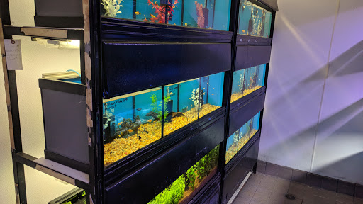 Pet Supply Store «House of Pets Inc», reviews and photos, 29500 Ford Rd, Garden City, MI 48135, USA