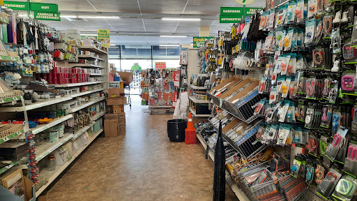 Dollar Store «Dollar Tree», reviews and photos, 3 Kent Town Market #3, Chester, MD 21619, USA