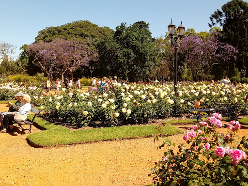 Garden at Buenos Aires
