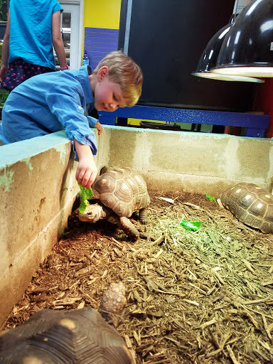 Pet Store «Tye-Dyed Iguana - Reptiles», reviews and photos, 1905 W U.S. 50, Fairview Heights, IL 62208, USA