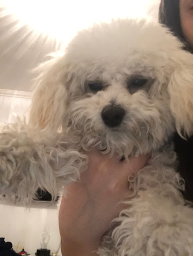 Barber Shop «The Hookup Barbershop», reviews and photos, 207 Caldwell Blvd, Nampa, ID 83687, USA