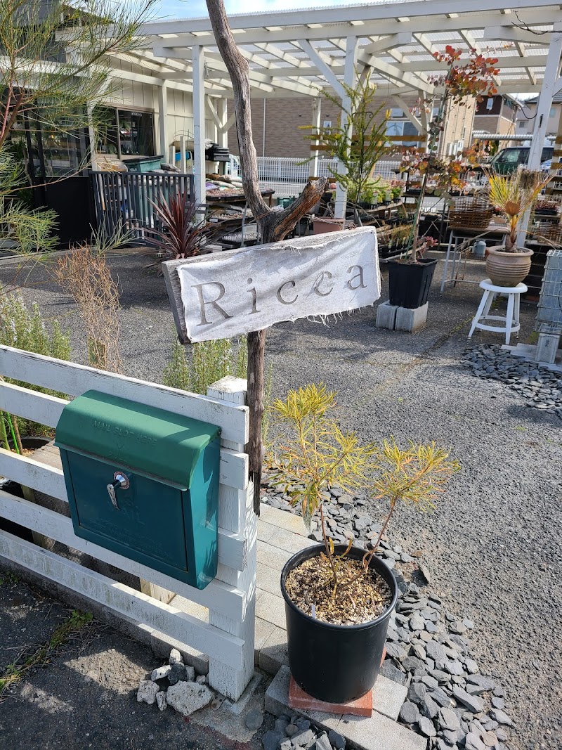 Ricca 岡山県総社市地頭片山 園芸センター グルコミ