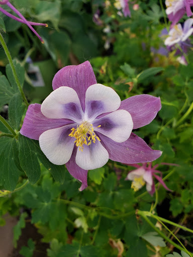 Home Improvement Store «The Home Depot», reviews and photos, 514 E Main St, Westfield, MA 01085, USA