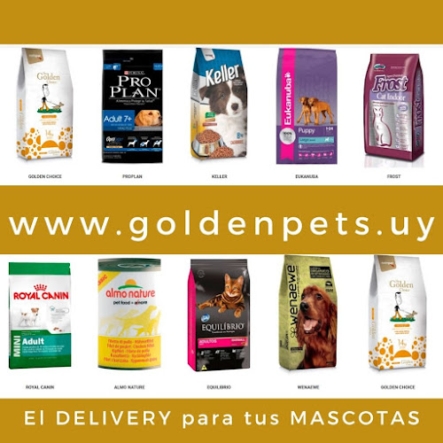 Golden Pets Delivery - Canelones