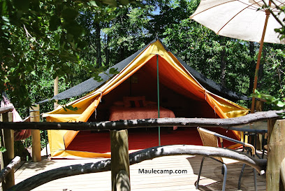 Maule Camp es un Glamping ecológico ideal para familias y amantes de la naturaleza