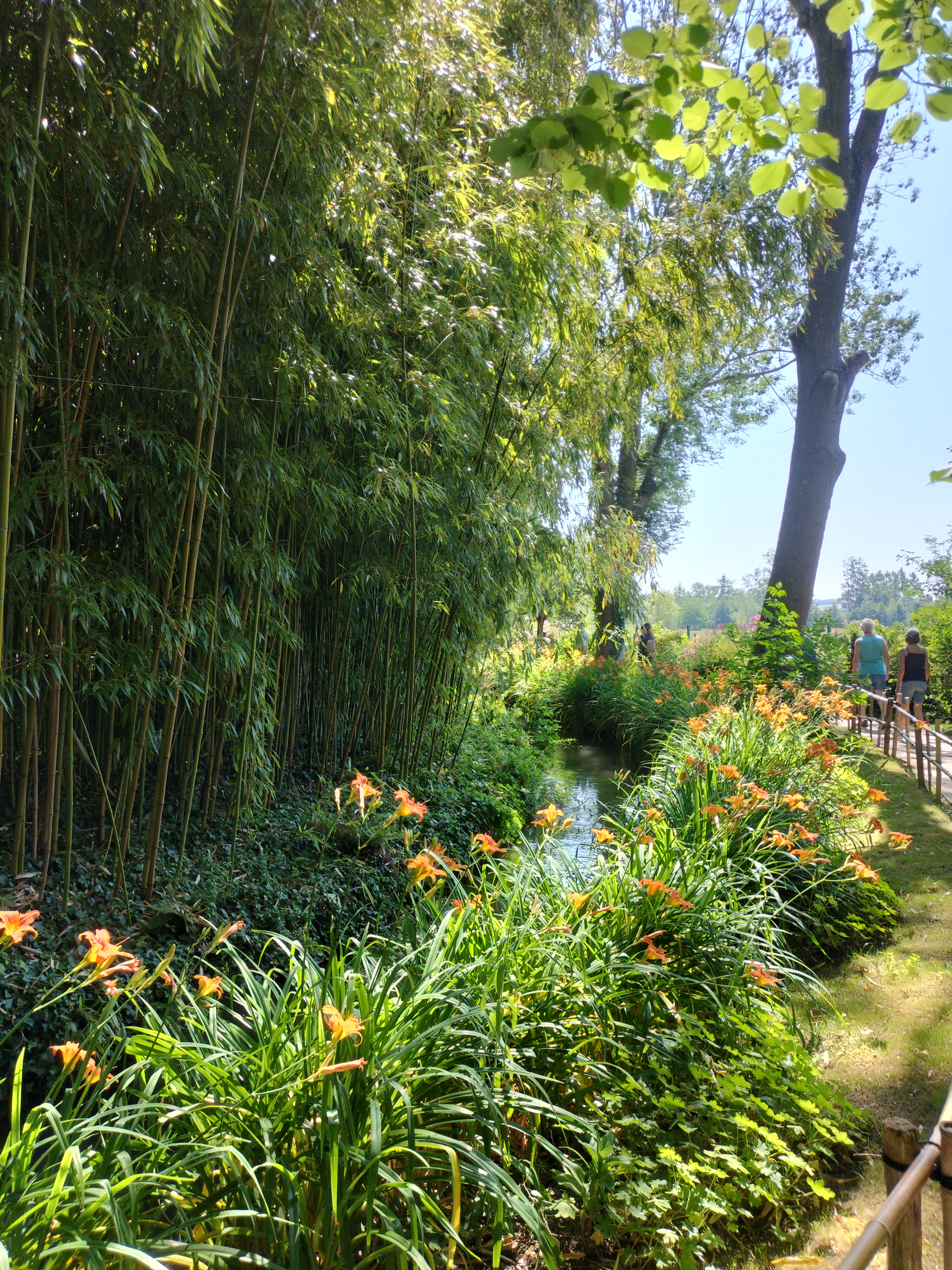 Photo n° 38 de l'avis de didier.e fait le 15/06/2023 à 13:38