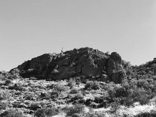 Nature Preserve «Gateway Trailhead - McDowell Sonoran Preserve», reviews and photos, 18333 N Thompson Peak Pkwy, Scottsdale, AZ 85255, USA