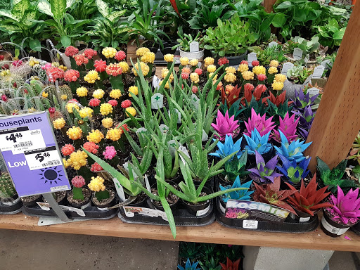 Home Improvement Store «The Home Depot», reviews and photos, 1595 East Frontage Rd, Park City, UT 84098, USA