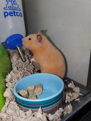 Pet Supply Store «Petco Animal Supplies», reviews and photos, 30 Veterans Memorial Hwy, Commack, NY 11725, USA