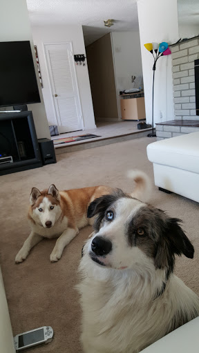 Plumber «DMS Plumbing», reviews and photos, 6335 Laredo St, Las Vegas, NV 89146, USA