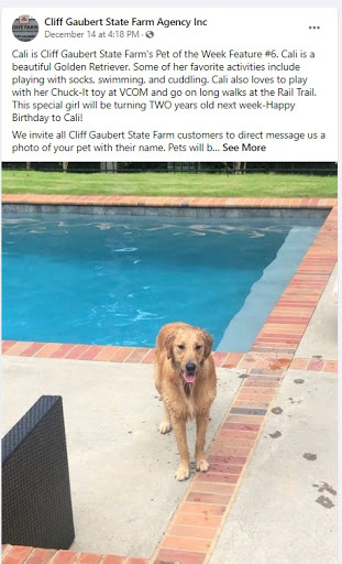 Auto Insurance Agency «State Farm: Cliff Gaubert», reviews and photos