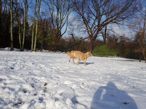 Park «Paws Place Dog Park», reviews and photos, Broadfield Rd, New Rochelle, NY 10804, USA