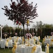 Meşale Garden Düğün Davet&Organizasyon