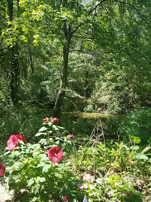 Mansfield Park - photo 49