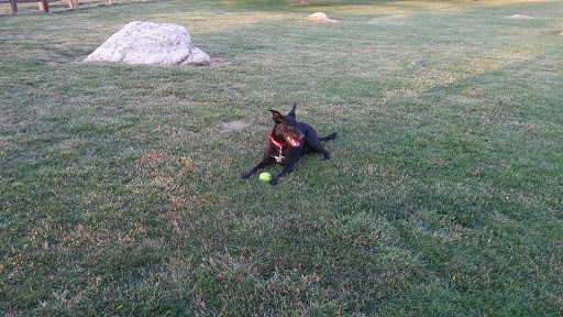 Dog Park «South Kingstown Dog Park», reviews and photos, 55 St Dominic Rd, South Kingstown, RI 02879, USA