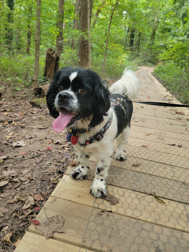 Park «Potomac Overlook Regional Park», reviews and photos, 2845 Marcey Rd, Arlington, VA 22207, USA