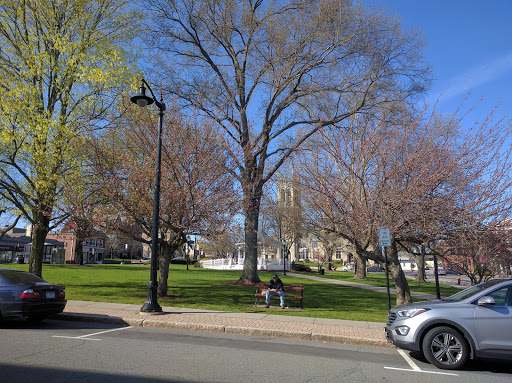 Grocery Store «Cedar Market», reviews and photos, 13 Cottage St, Norwood, MA 02062, USA