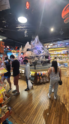 Toy Store «G. Willikers Toy Emporium», reviews and photos, 1113 Front St, Sacramento, CA 95814, USA