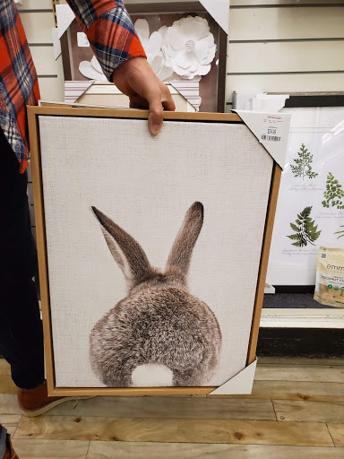 Department Store «HomeGoods», reviews and photos, 9 Kilton Rd, Bedford, NH 03110, USA