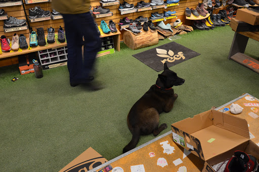 Outdoor Sports Store «Outdoor Gear Exchange», reviews and photos, 37 Church St, Burlington, VT 05401, USA