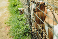 Savannah Smiles Photography - Photo 9 - Car repair in , Virginia Beach