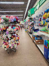 Dollar Tree - Photo 2 - Car repair in Myrtle Beach, SC, Myrtle Beach