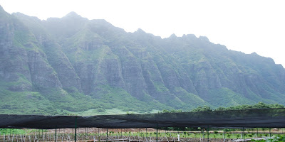 Kualoa Ranch