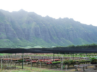 Kualoa Ranch