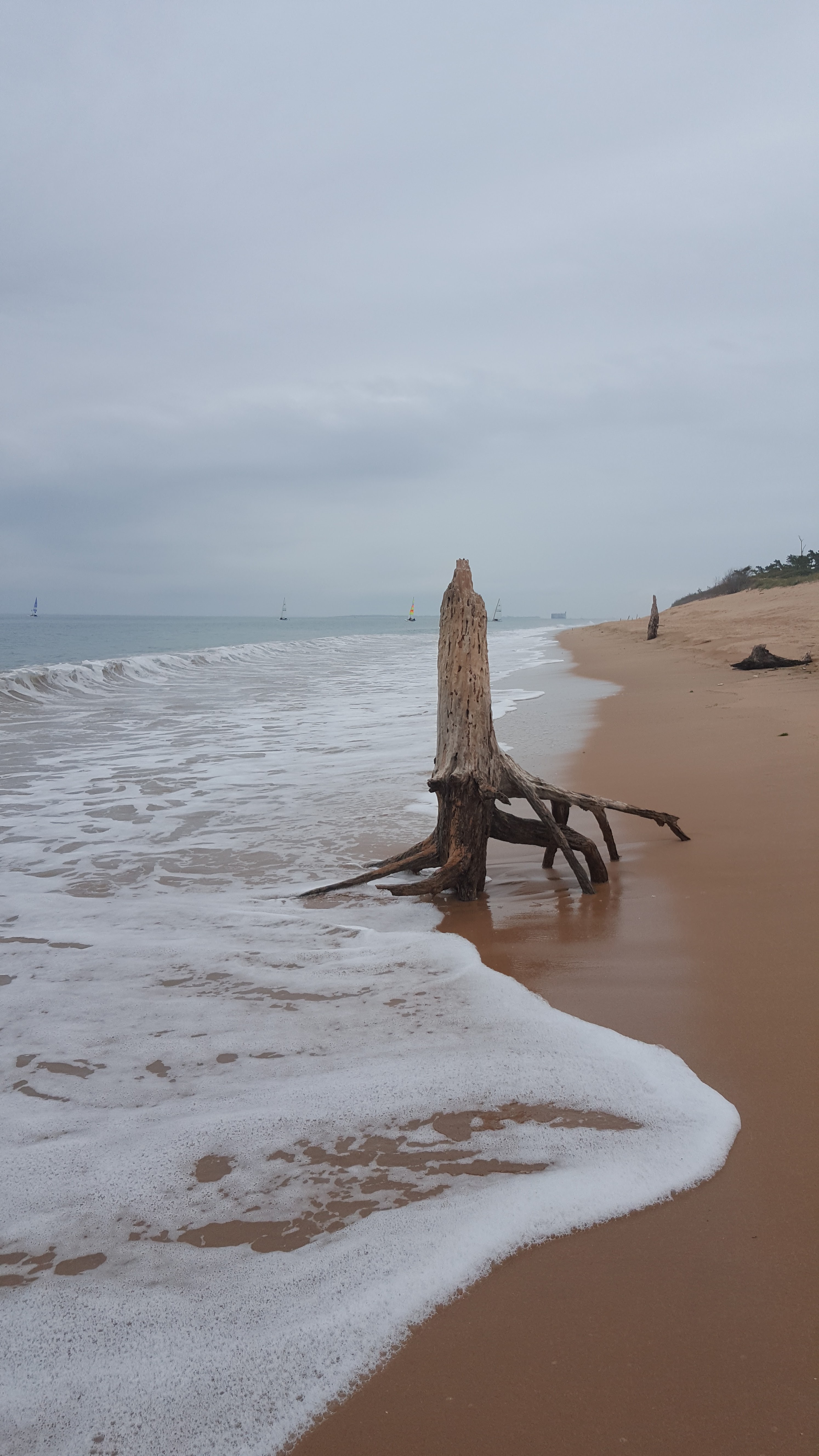Photo n° 4 de l'avis de olivier.G fait le 19/08/2019 à 17:21