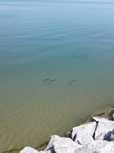 Country Club «Shoreacres Country Club», reviews and photos, 1601 Shore Acres Rd, Lake Bluff, IL 60044, USA