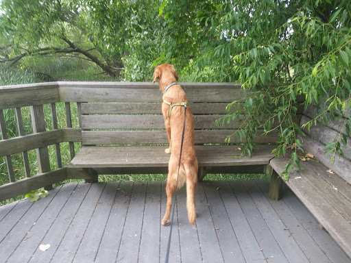 Nature Preserve «Times Beach Nature Preserve», reviews and photos, Coast Guard Station S Rd, Buffalo, NY 14203, USA