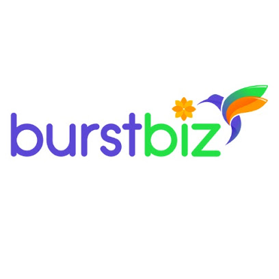 Burst Biz Services