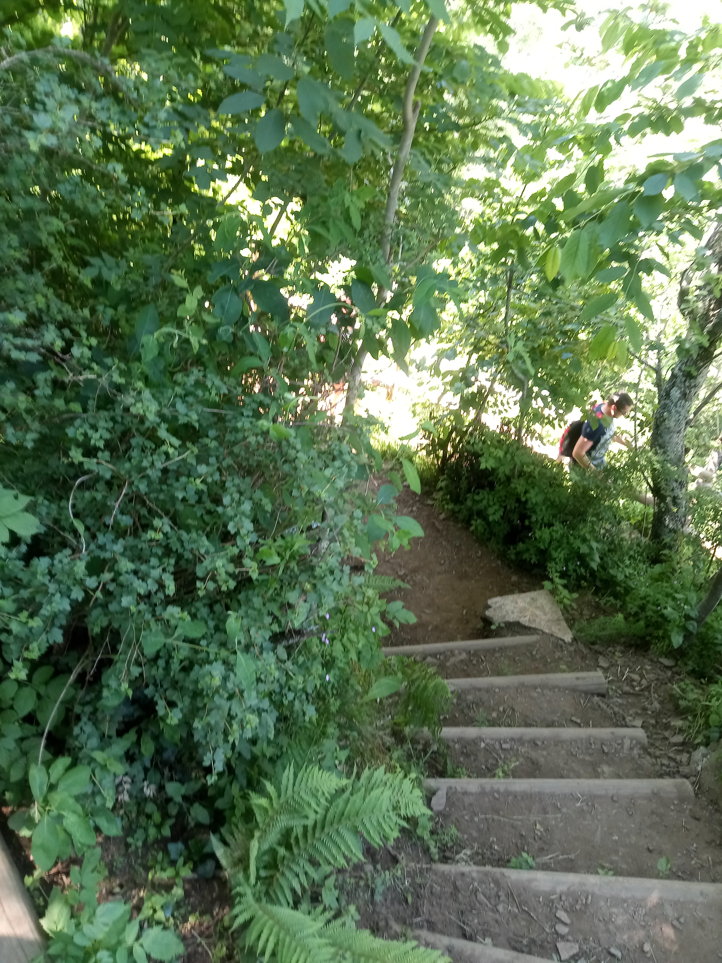Photo n° 6 de l'avis de Bilbon.A fait le 22/05/2020 à 14:33