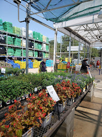 Lowe's Home Improvement - Photo 5 - Car repair in Pace, FL, Pensacola
