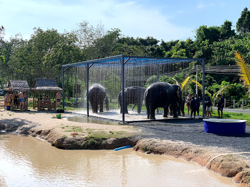 Green Elephant Sanctuary Park