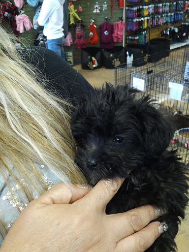 Pet Supply Store «Pet Ranch», reviews and photos, 3823 E 120th Ave, Denver, CO 80233, USA