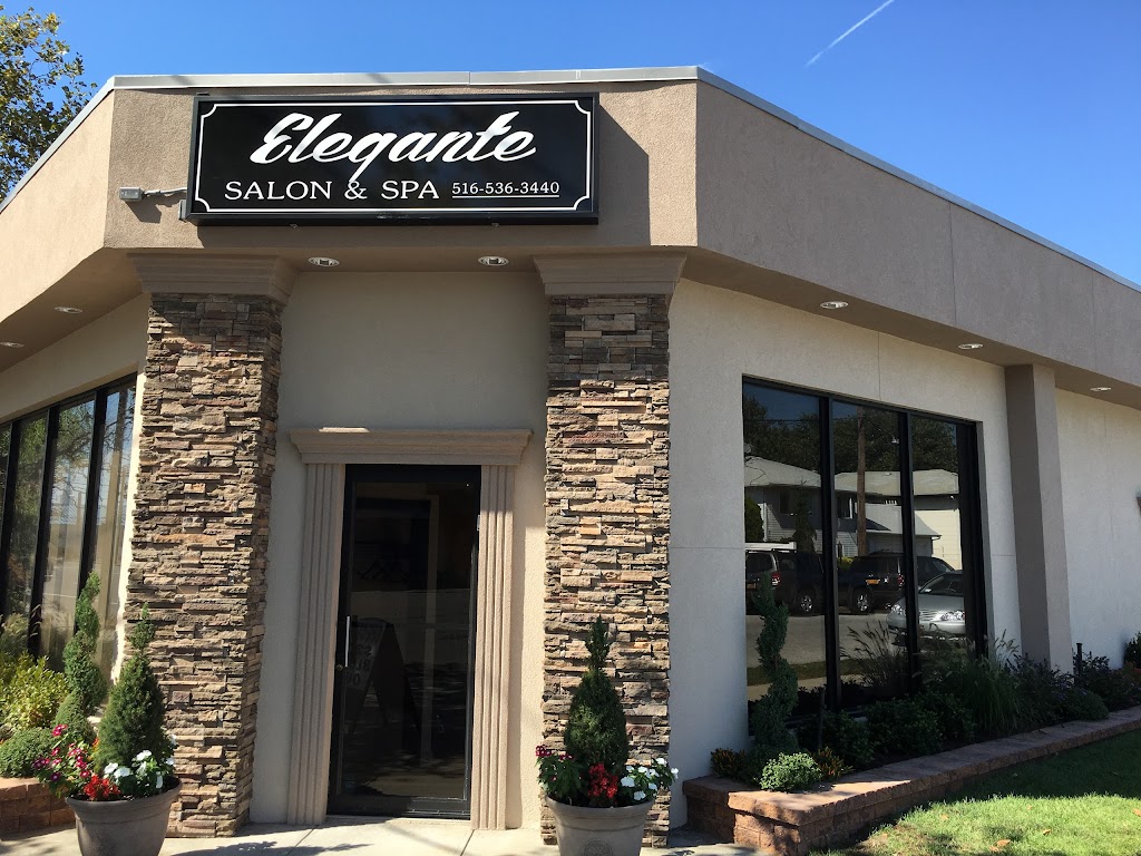 Elegante Salon and Spa 11558