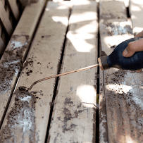 All American Pest Elimination - Photo 5 - Car repair in , Port St. Lucie