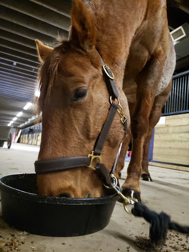 Riverfront Equestrian Centre